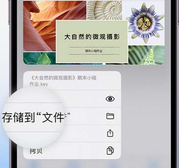 屏南apple维修中心分享iPhone文件应用中存储和找到下载文件