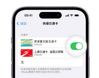 屏南apple维修点分享iPhone上更换Apple Pay快捷交通卡手绘卡面 