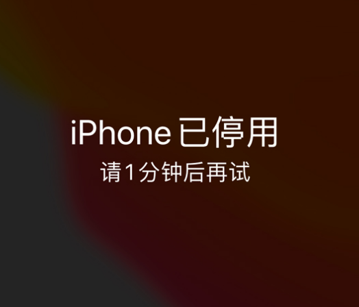 屏南苹果手机维修分享:iPhone 显示“不可用”或“已停用”怎么办？还能保留数据吗？ 