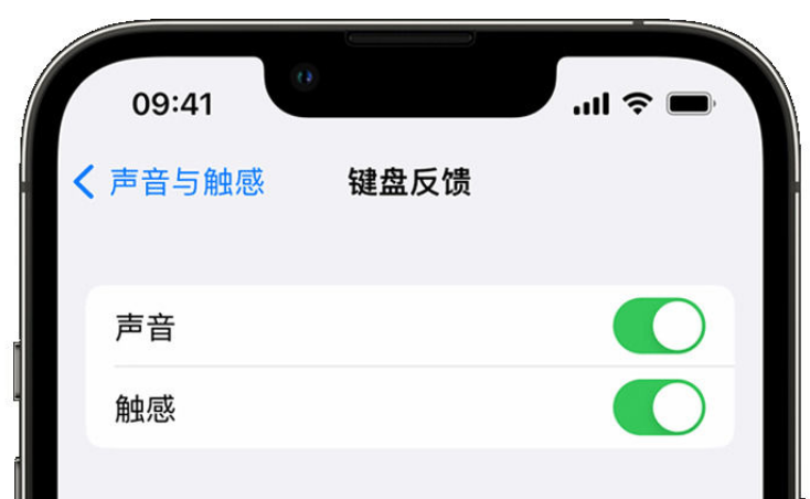 屏南苹果手机维修分享iPhone 14触感键盘使用方法 