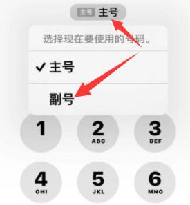 屏南苹果14维修店分享iPhone 14 Pro Max使用副卡打电话的方法 