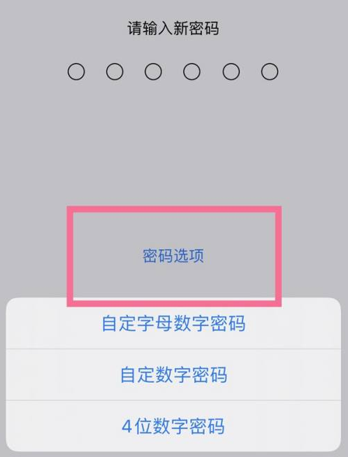 屏南苹果14维修分享iPhone 14plus设置密码的方法 