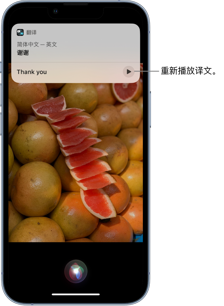 屏南苹果14维修分享 iPhone 14 机型中使用 Siri：了解 Siri 能帮你做什么 