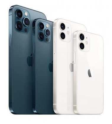 屏南苹果维修点分享iPhone 12 Pro黑屏小众问题解析 