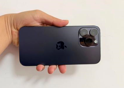 屏南苹果维修点分享iPhone 14 Pro Max黑屏少见故障盘点 